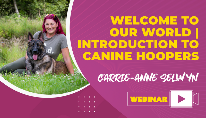 Welcome To Our World | Introduction To Canine Hoopers - Dog Training College 