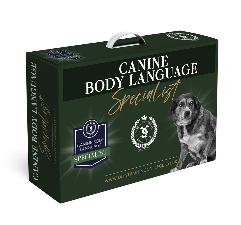 Canine Body Language Specialist Program