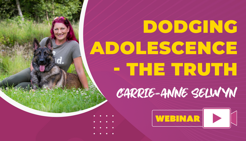 Dodging Adolescence - The Truth - Dog Training College 