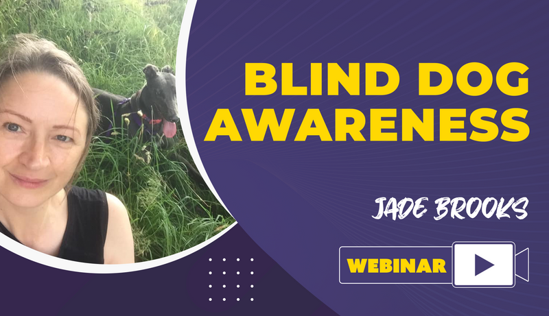 Blind Dog Awareness - Dog Training College 
