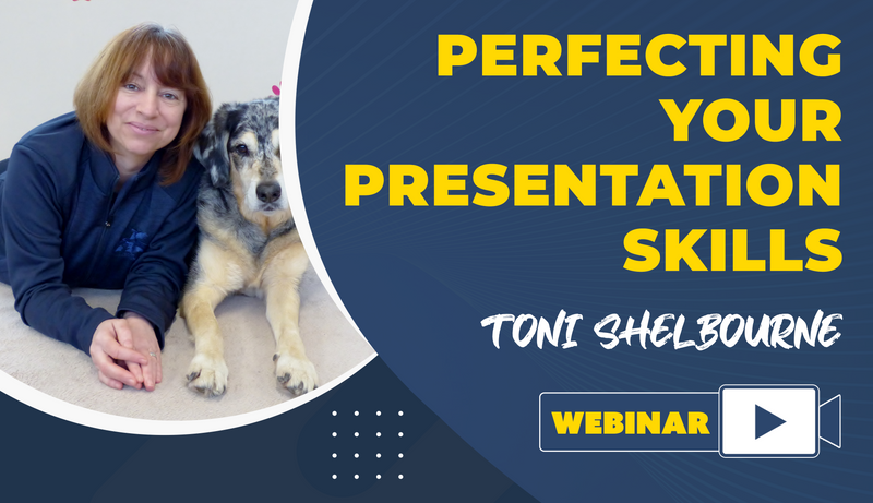 Perfecting Your Presentation Skills - Dog Training College 