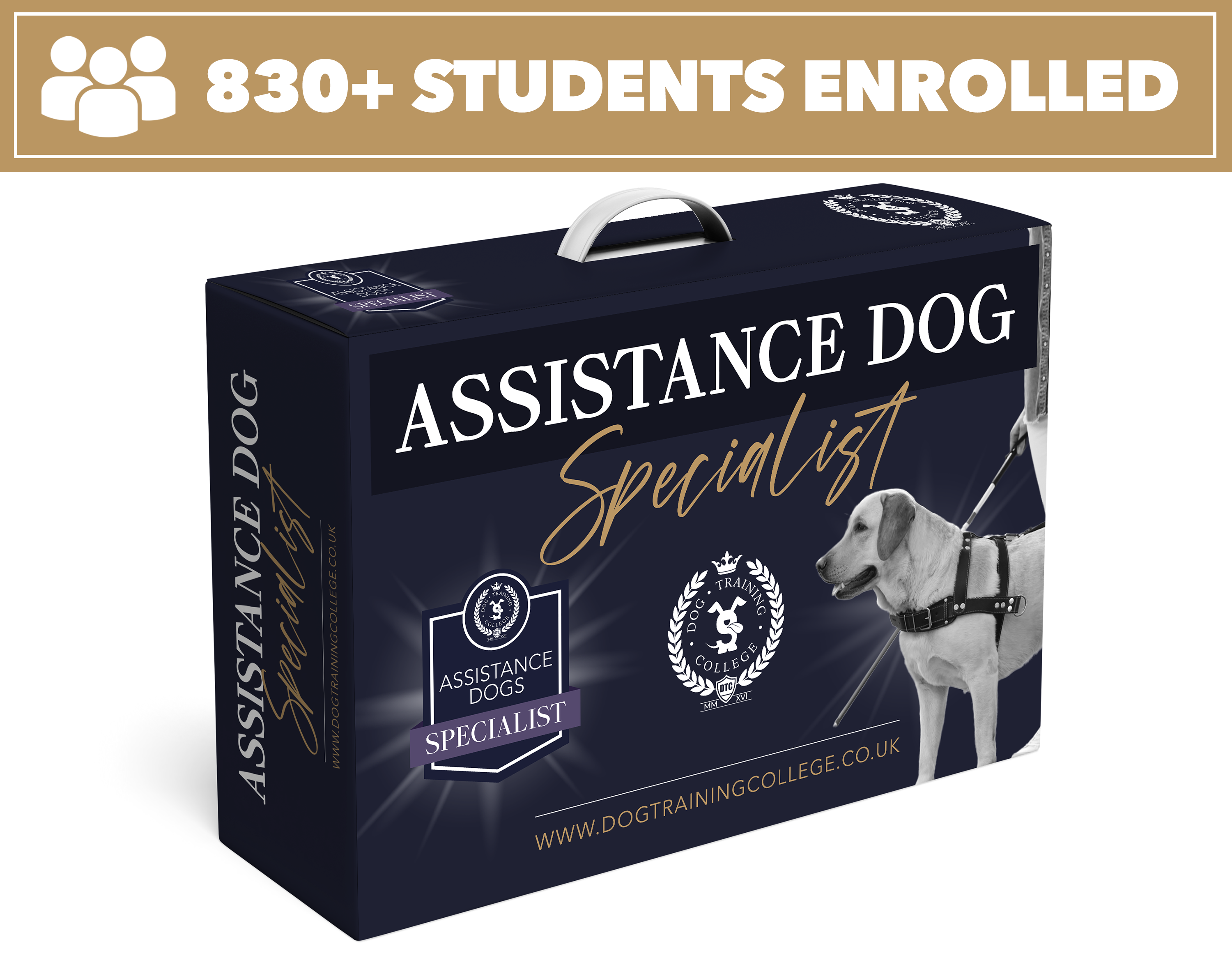 Assistance dog deals trainer
