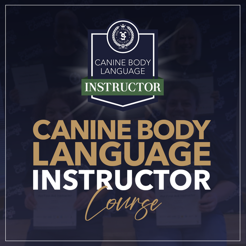 Canine Body Language Instructor - Dog Training College 