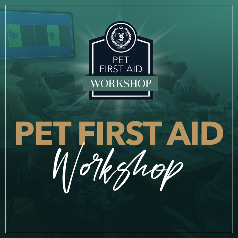 Pet first aid Workshop - Dog Training College 