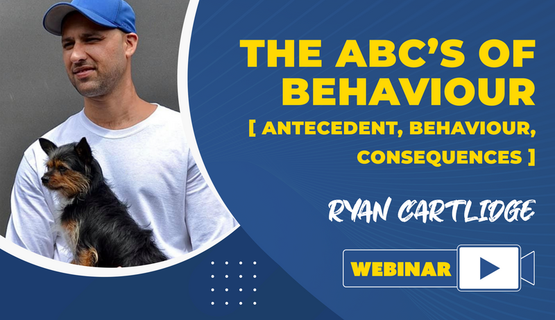 The ABC’s Of Behaviour [Antecedent, Behaviour, Consequences] - Dog Training College 