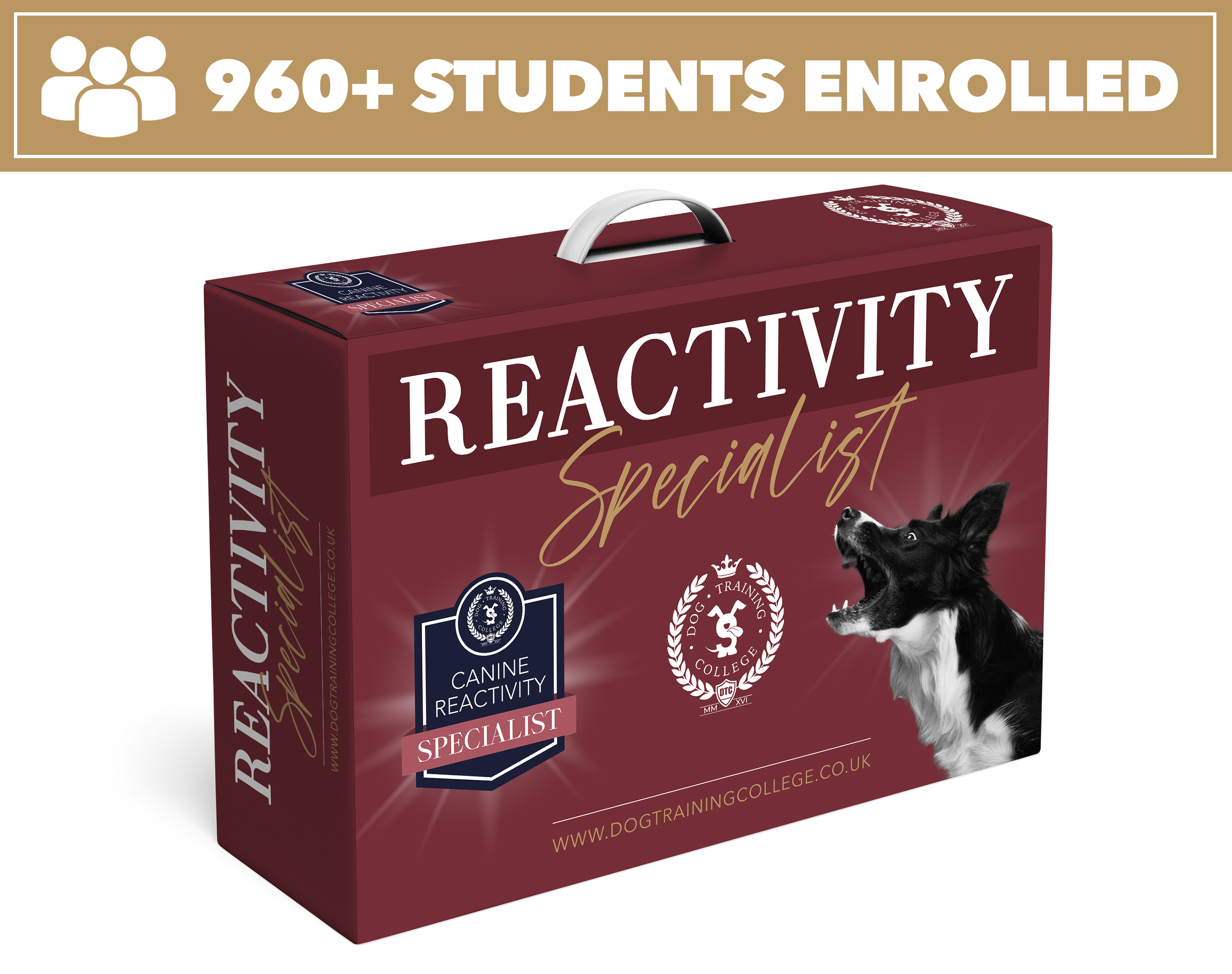 Reactive dog 2024 training classes