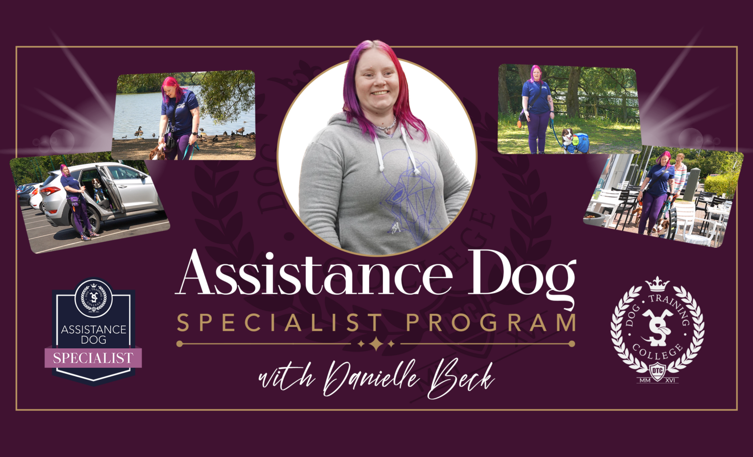 Programs | Dog Training College