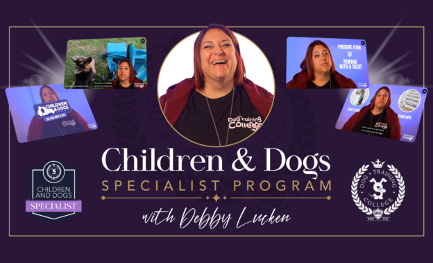 Programs | Dog Training College