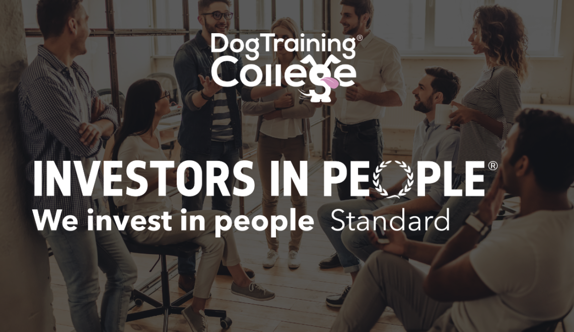 Dog Training College gains Investors in People Accreditation Dog