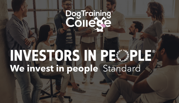 Dog Training College gains Investors in People Accreditation
