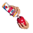 Kong Classic Chew Treat Dog Toy - Dog Training College 