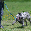 Faux Fur Chaser Tug - Dog Training College 