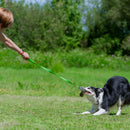 Faux Fur Chaser Tug - Dog Training College 