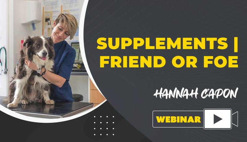 Supplements | Friend or Foe - Dog Training College 