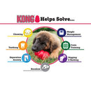 Kong Classic Chew Treat Dog Toy - Dog Training College 
