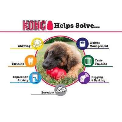 Kong Classic Chew Treat Dog Toy - Dog Training College 