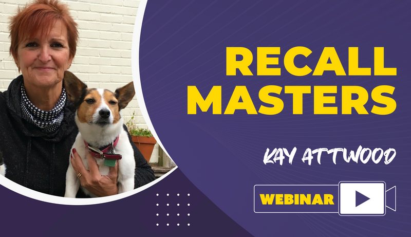 Recall Masters - Dog Training College 
