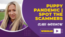 Puppy Pandemic | Spot The Scammers - Dog Training College 