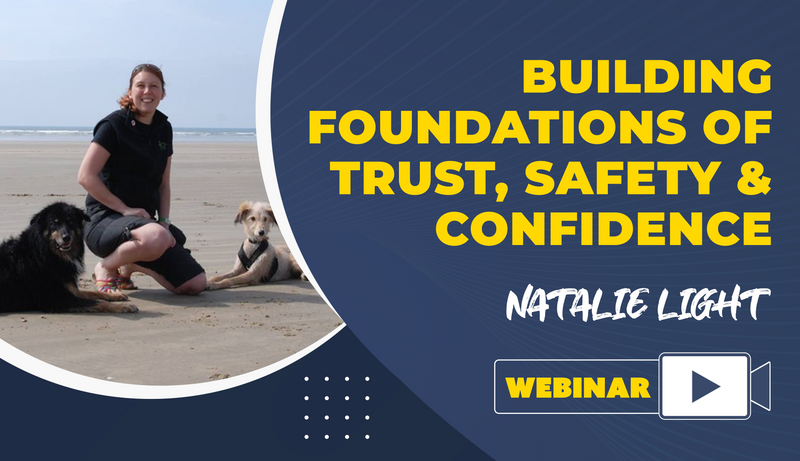 Building Foundations of Trust, Safety & Confidence - Dog Training College 