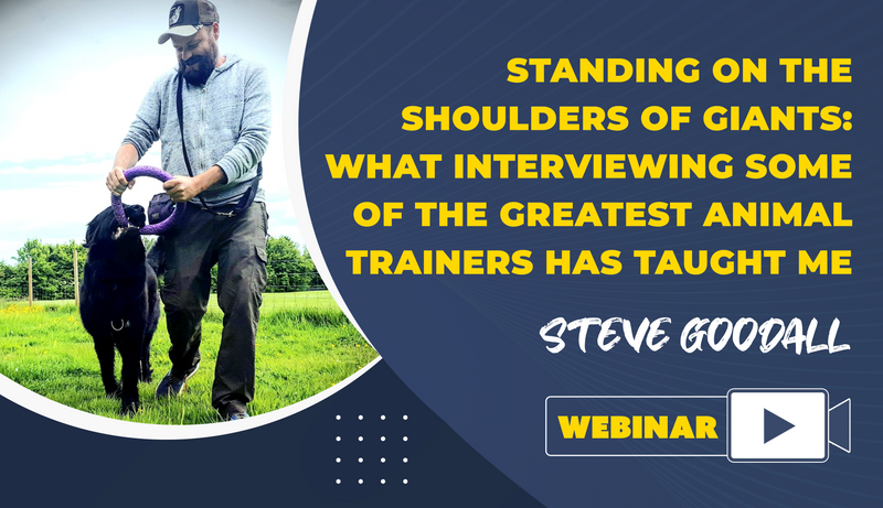 Standing On The Shoulders Of Giants: What Interviewing Some Of The Greatest Animal Trainers Has Taught Me - Dog Training College 