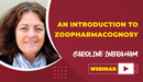Introduction to Zoopharmacognosy - Dog Training College 