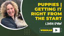 Puppies | Getting It Right From The Start - Dog Training College 