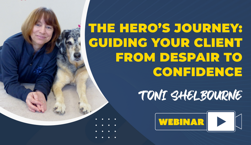 The Hero’s Journey: Guiding Your Client From Despair To Confidence - Dog Training College 
