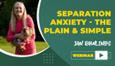 Separation Anxiety - The Plain & Simple - Dog Training College 