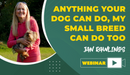 Anything Your Dog Can Do, My Small Breed Can Do Too - Dog Training College 