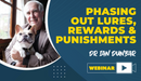 Phasing Out Lures, Rewards & Punishments - Dog Training College 