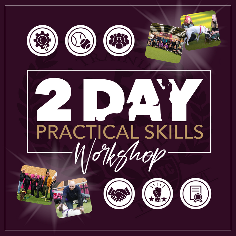 2 Day Practical Skills Workshop - Dog Training College 