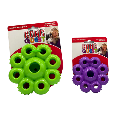 Kong Quest Star Pod Interactive Dog Toy Dog Training College