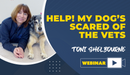 HELP! My Dog’s Scared of the Vets - Dog Training College 