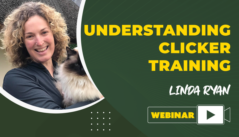 Understanding Clicker Training - Dog Training College 