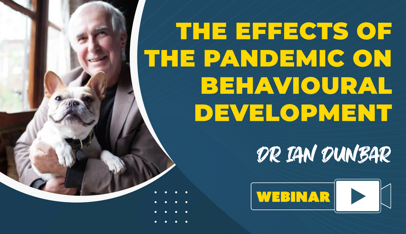 The Effects of the Pandemic on Behavioural Development - Dog Training College 