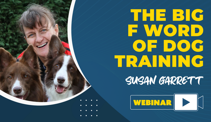 The Big F Word of Dog Training - Dog Training College 