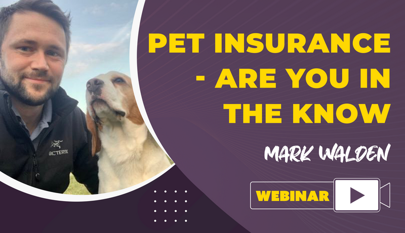 Pet Insurance - Are You in the Know - Dog Training College 