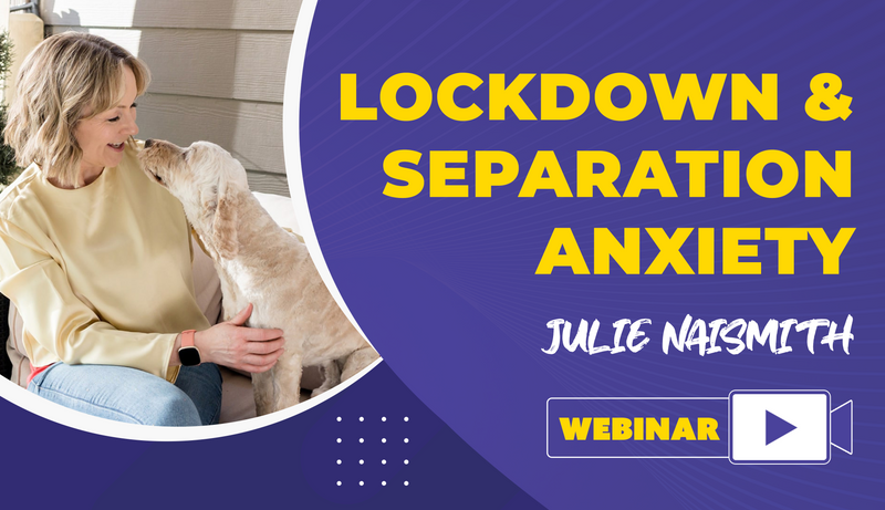 Lockdown & Separation Anxiety - Dog Training College 