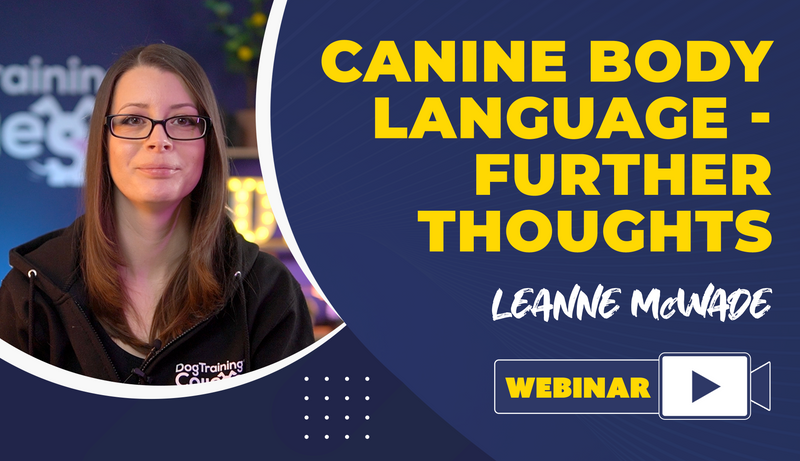 Canine Body Language - Further Thoughts - Dog Training College 