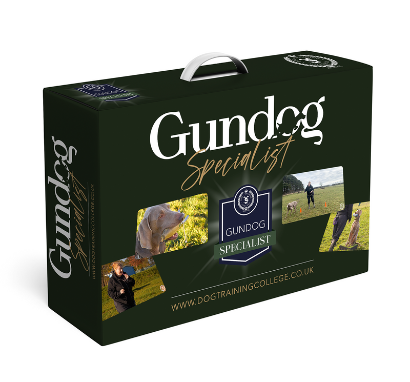 Gundog Specialist Program