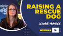 Raising a Rescue Dog - Dog Training College 