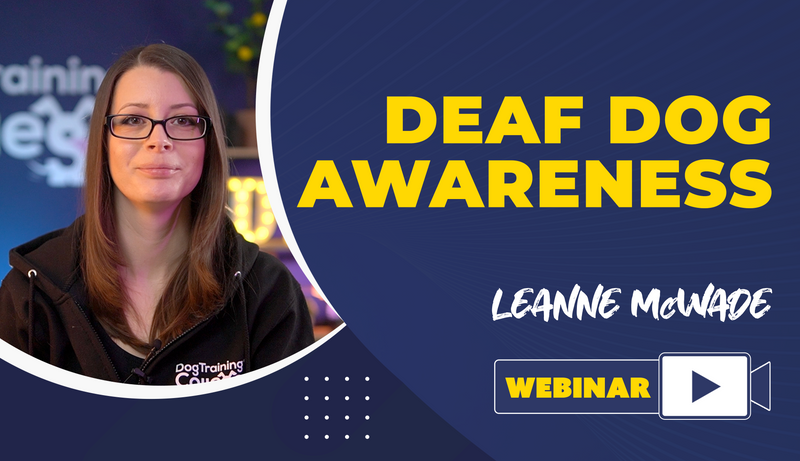 Deaf Dog Awareness - Dog Training College 