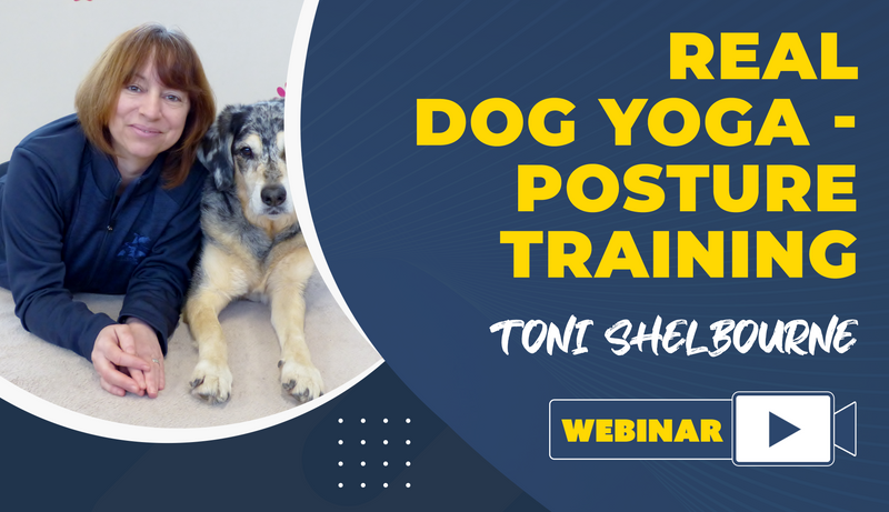 Real Dog Yoga - Posture Training - Dog Training College 