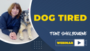 Dog Tired - Dog Training College 