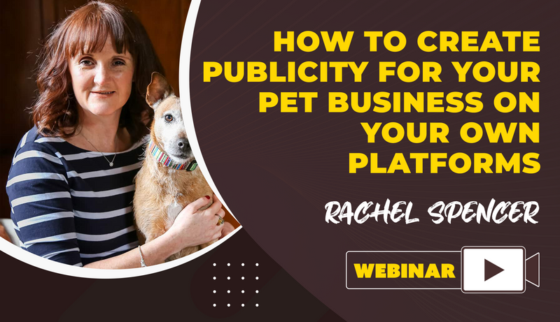 How To Create Publicity For Your Pet Business On Your Own Platforms - Dog Training College 