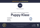 Certificates (Pack of 10) - Dog Training College 