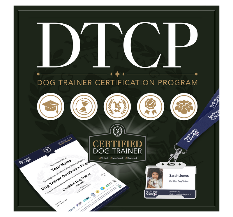 Dog Trainer Certification Program - Dog Training College 
