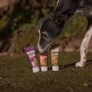 ARDEN GRANGE TASTY TURKEY TREAT 75G - Dog Training College 