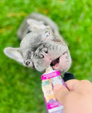 ARDEN GRANGE TASTY TURKEY TREAT 75G - Dog Training College 