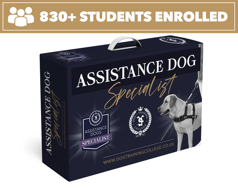 Assistance Dog Specialist Program - Dog Training College 
